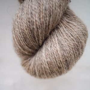 05 Camel