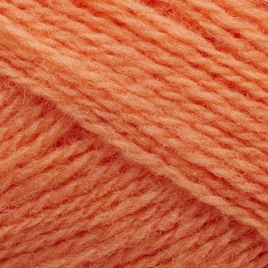 254 Coral