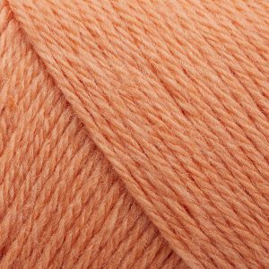 254 Coral