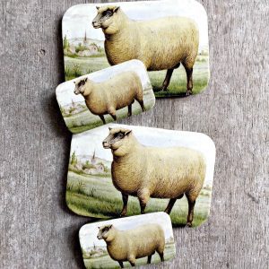 Sheep Notions Tin - lítið