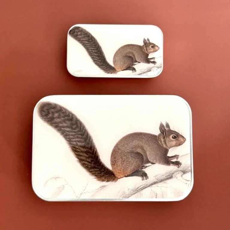 Brown Squirrel Notions Tin