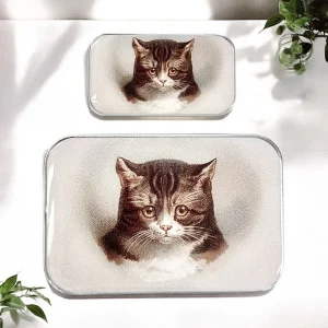Vintage Cat Notions Tin