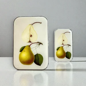 Botanical Pear Notions Tin